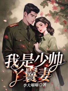 我是少帅的丫鬟妻豆蔻段庭啸庄菲精彩内容在线阅读