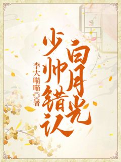 《少帅错认白月光》小说章节目录免费阅读 沈玄艺萧济时小说全文