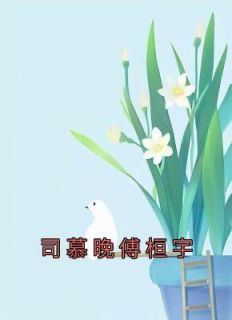 司慕晚傅桓宇主角司慕晚傅桓宇小说精彩章节全文免费试读