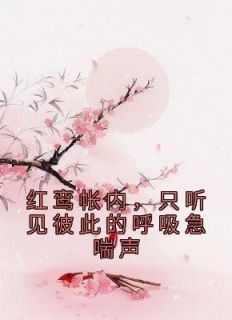 《红鸾帐内，只听见彼此的呼吸急喘声》江锦心江玉淑小说精彩内容在线阅读