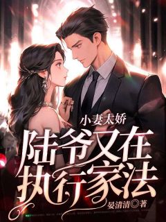 《小妻太娇，陆爷又在执行家法》小说完结版精彩试读 温宁陆晏辞小说阅读