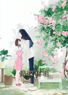 《傅琛杨明》小说章节目录在线试读 季初傅琛小说全文