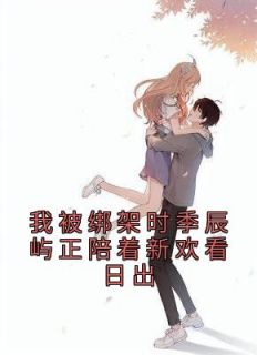 《我被绑架时季辰屿正陪着新欢看日出》小说完结版在线阅读 江镜月季辰屿小说阅读