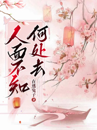 人面不知何处去全本资源 鸢儿君彦钦安精彩章节未删减版