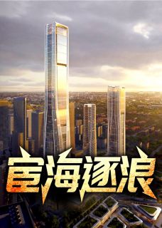 《宦海逐浪》小说在线试读 《宦海逐浪》最新章节目录