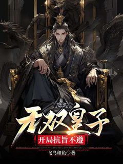 无双皇子，开局抗旨不遵全文在线阅读 朱文杨英小说全本无弹窗