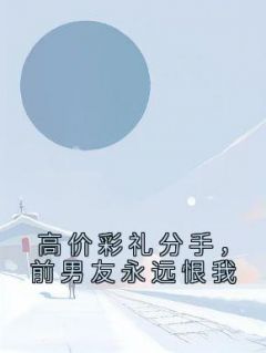 高价彩礼分手，前男友永远恨我郑婉林昊小说精彩章节免费试读