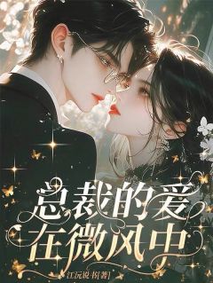 总裁的爱在微风中by江沅说书 苏晓晓陆泽翰在线阅读