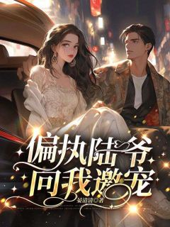 《偏执陆爷向我邀宠》小说章节精彩阅读 温宁陆晏辞小说全文