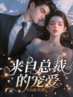 李晴许瀚by江沅说书 来自总裁的宠爱小说全文阅读
