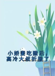 《小娇妻吃醋后，高冷大叔折服了》精彩章节列表在线试读 向晚叶勉之小说