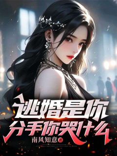 《逃婚是你，分手了你哭什么》张若楠叶淮舟全文在线阅读