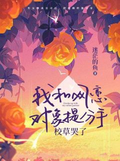 我和网恋对象提分手，校草哭了赵雨晴林子峰by迷茫的鱼全文免费阅读