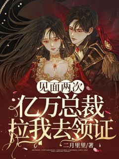 《见面两次，亿万总裁拉我去领证》全文免费章节在线试读 叶笙笙薄晏小说