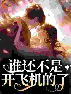 谁还不是开飞机的了丁梨程北归小说全本免费试读