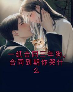 一纸合同三年狗,合同到期你哭什么小说全文免费阅读 王云峰林如烟章节目录完整版