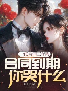 我是清华毕业的高材生王云峰小说免费阅读 王云峰林如烟小说大结局免费试读