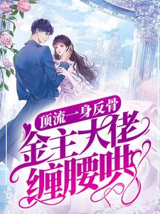 《顶流一身反骨，金主大佬缠腰哄》小说全文免费阅读 向暖沈宴时小说全文