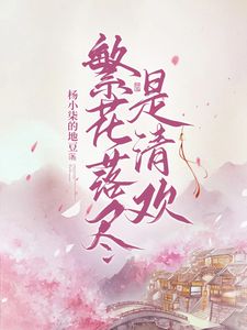 冷意欢夜澜清小说 《繁花落尽是清欢》小说全文精彩试读