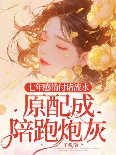 《七年感情付诸流水，原配成陪跑炮灰》王嘉瑶沈丛舟林初姣全本在线阅读