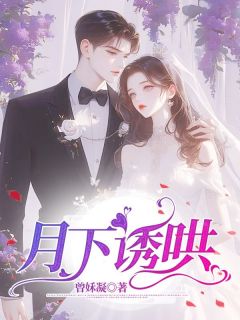 《月下诱哄》小说章节精彩试读 何娜林宇温鹿小说阅读