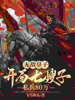 朱文朱彬by飞鸟和鱼 无敌皇子：开局七嫂子，私兵80万阅读全文
