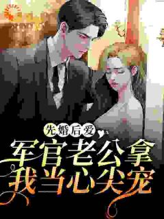 《先婚后爱：军官老公拿我当心尖宠》全文免费章节在线试读 冉颜顾霆深小说