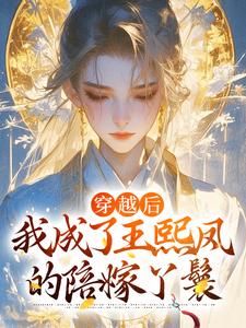 《穿越后，我成了王熙凤的陪嫁丫鬟》小说全文免费阅读 徐乐王熙凤小说全文