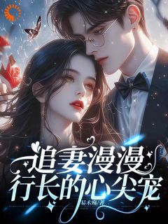追妻漫漫行长的心尖宠全文免费阅读 陆洛晚沈以谦大结局无弹窗