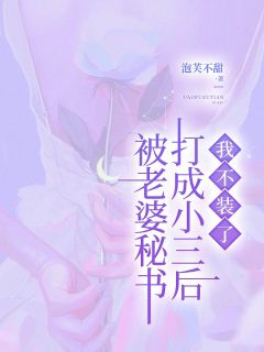 被老婆秘书打成小三后，我不装了全文免费阅读 苏宁青白景凌小说大结局无弹窗