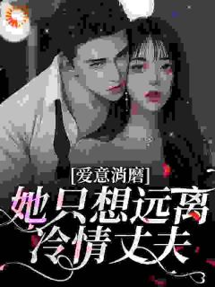 爱意消磨，她只想远离冷情丈夫陆洛晚沈以谦目录 爱意消磨，她只想远离冷情丈夫小说阅读