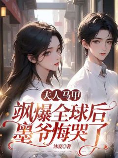 夫人马甲飒爆全球后，墨爷悔哭了时茉墨南城by沐夏全文免费阅读