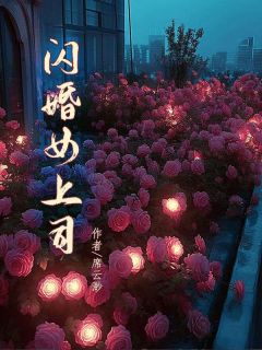 闪婚女上司完整版全文阅读 苏柏顾芷柔顾景程小说 大结局