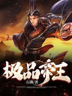 《极品帝王》小说免费阅读 叶离苏心斋小说大结局在线阅读