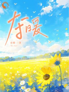 《夺暖》小说全文精彩试读 向暖叶寒小说全文