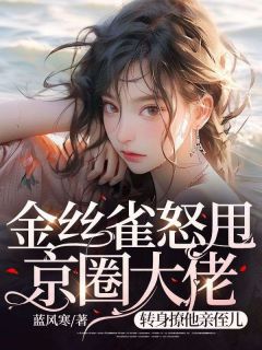 《金丝雀怒甩京圈大佬，转身撩他亲侄儿》小说章节目录免费阅读 霍明哲沈轻雨小说全文