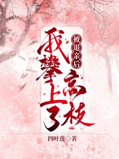 沈清宁洛云斓阅读_沈清宁洛云斓《被退亲后我攀上了高枝》