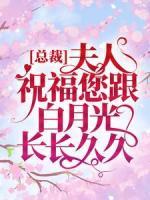 《总裁，夫人祝福您跟白月光长长久久》小说全文精彩试读 舒梅陆一默小说全文